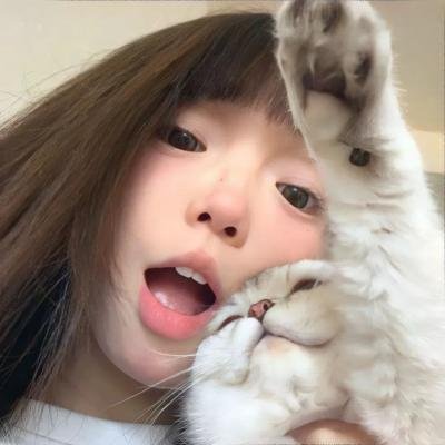 睡莲